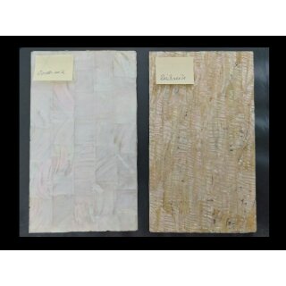 Makassar Furnier Platte, 240x140x1,5 mm - R&uuml;ckseite Abalone geflammt
