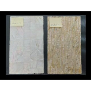 Makassar Furnier Platte, 240x140x1,5 mm - Rückseite Abalone geflammt