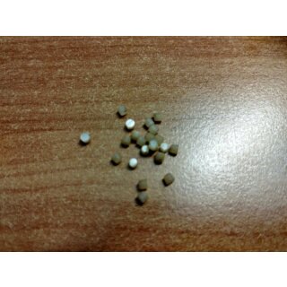 Perloid dots, 2 mm